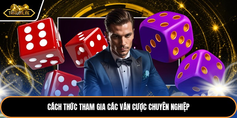 Cách thức tham gia các ván cược chuyên nghiệp